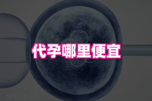 69助孕网 1